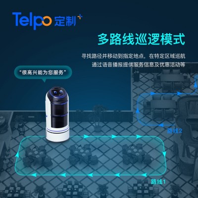 天波智能迎宾机器人R1 公司展馆展厅互动引导讲解送物 支持定制图3