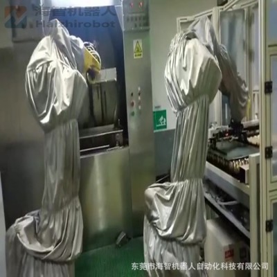 机械臂 海智工业机器人厂家 喷涂 冲压 搬运图4