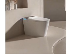 轻智能马桶全自动语音家用一体式 (188播放)