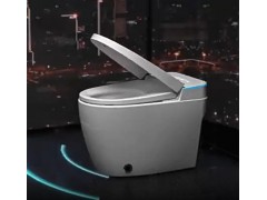 轻智能马桶全自动语音家用一体式 (178播放)