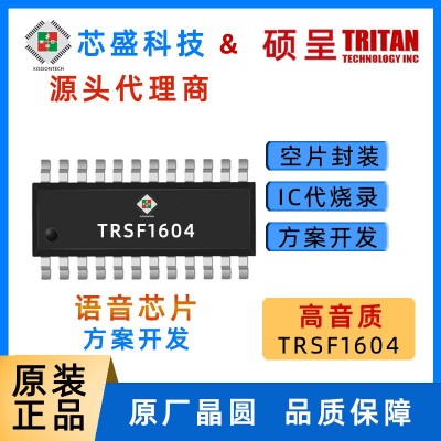 硕呈TRSF1604A/C语音芯片340秒内置音频播放芯片MCU录音音乐芯片图2