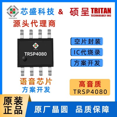 硕呈语音芯片TRITAN单通道音乐芯片10秒30秒60秒IC母体TRSP4040A图3
