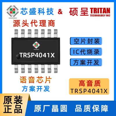 台湾硕呈原厂TRSP4041B语音芯片电子语音播报芯片一串口FLASH型IC图2