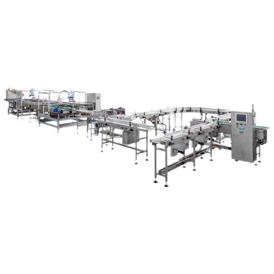 厂家制造 智能分拣机 分拣斜导轮 智能分拣系统 速度快高效设备图5