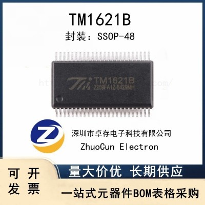 TM1621B(TA2101)新版本 SSOP-48内存映象和多功能的LCD驱动器图2