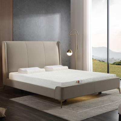 跨境专拍链接 冰丝布智能床私人尺寸电动床卧室按摩智能床垫