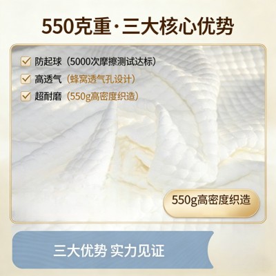 跨境专拍链接 冰丝布智能床私人尺寸电动床卧室按摩智能床垫图3