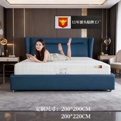 大尺寸定制智能床垫 德国智能电动床垫卧室电动床商场货源智能床图3