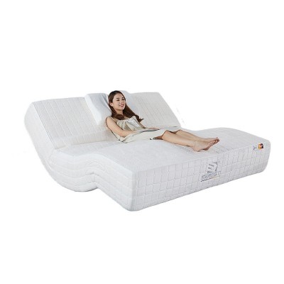 大尺寸定制智能床垫 德国智能电动床垫卧室电动床商场货源智能床图4
