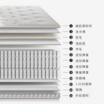 五星级酒店总统套房床垫家用卧室床垫电动智能床垫羊毛轻奢智能床图4