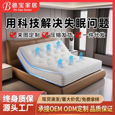 五星级酒店总统套房床垫家用卧室床垫电动智能床垫羊毛轻奢智能床图2