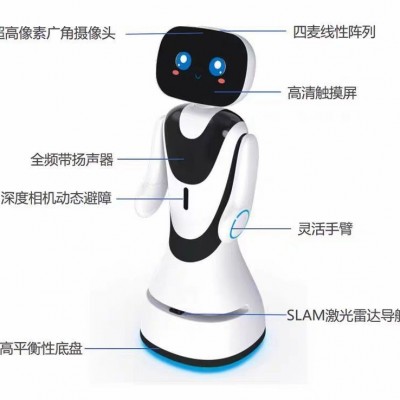 新款穿山甲小鱼迎宾讲解导览智能机器人接待ai展馆前台服务引路