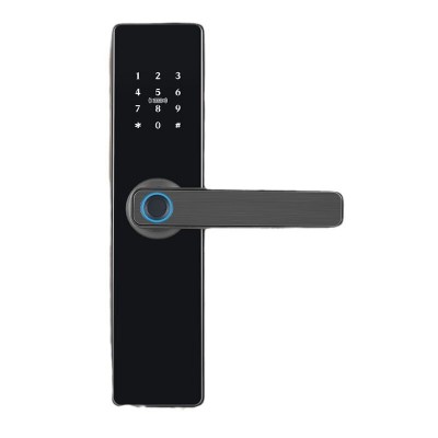 涂鸦木门半自动指纹锁室内门密码锁办公室刷卡电子智能门锁图4