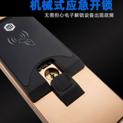 酒店刷卡智能家用指纹锁公寓木门锁密码远程磁卡感应锁指纹解锁图3