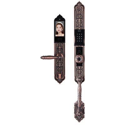 人脸识别指纹锁3D全自动可视涂鸦猫眼欧式家用防盗高端别墅智能锁图4