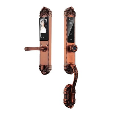 3D脸识别WiFi远程对讲抓拍全自动防盗门指纹锁手机指纹开锁智能锁图4