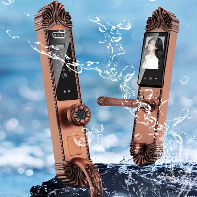 3D脸识别WiFi远程对讲抓拍全自动防盗门指纹锁手机指纹开锁智能锁图3