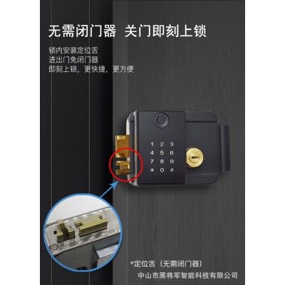 自建房密码免布线庭院锁户外铁门电控锁防盗锁双面指纹别墅门锁图5