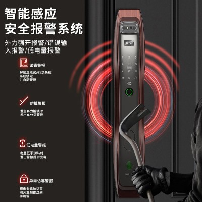 3D人脸识别全自动家用防盗门智能指纹锁密码锁猫眼可视电子锁批发图5