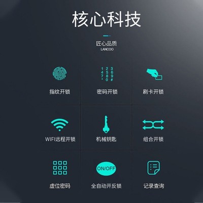 双力仕全自动可视猫眼指纹锁防盗门密码锁涂鸦WiFi别墅大门锁智能图4