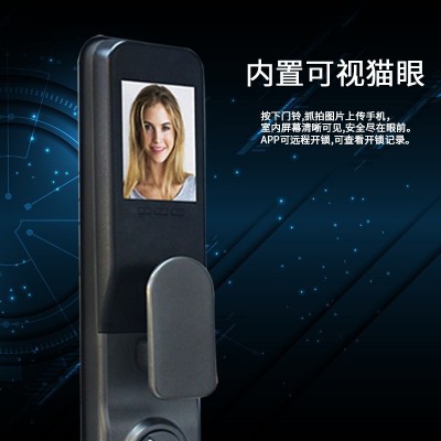 双力仕全自动可视猫眼指纹锁防盗门密码锁涂鸦WiFi别墅大门锁智能图3