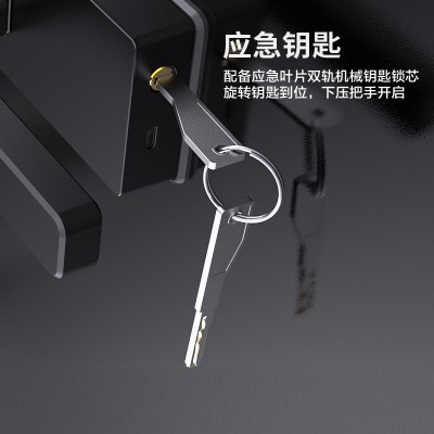 隔断门单开玻璃门指纹锁玻璃把手密码锁涂鸦WiFi远程锁指纹解锁图5