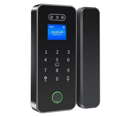 玻璃门人脸指纹锁单双开门电子密码锁办公室商铺无框门APP管理图5