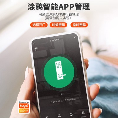 免开孔布线玻璃门指纹锁办公室涂鸦锁单门双门管理密码锁智能门锁