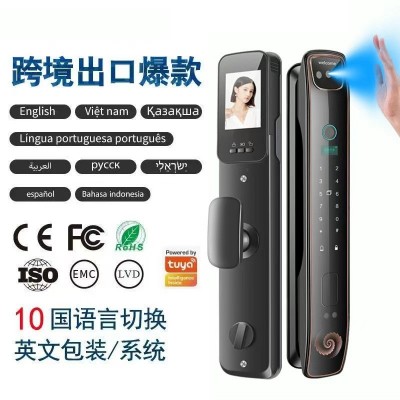 外贸人脸识别指纹锁家用防盗门可视密码锁电子锁智能门锁厂家智能图2