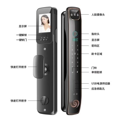 外贸人脸识别指纹锁家用防盗门可视密码锁电子锁智能门锁厂家智能图4