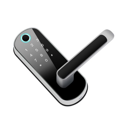 跨境专供涂鸦Tuya指纹锁球形WIFI半导体APP锁家用智能电子通通锁图4