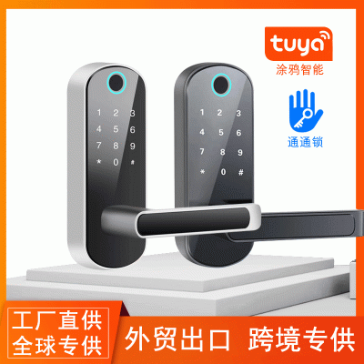 跨境专供涂鸦Tuya指纹锁球形WIFI半导体APP锁家用智能电子通通锁