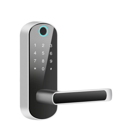 跨境专供涂鸦Tuya指纹锁球形WIFI半导体APP锁家用智能电子通通锁图5