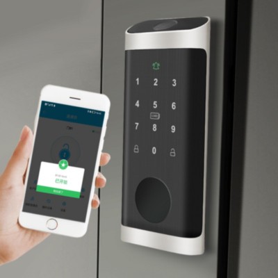 美标智能呆锁涂鸦通通指纹锁家用公寓远程APP智能密码锁厂家批发图2