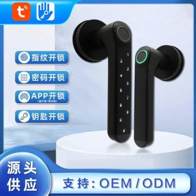 定制涂鸦通通锁室内指纹锁卧室办公室密码锁房间木门智能锁家用球图3