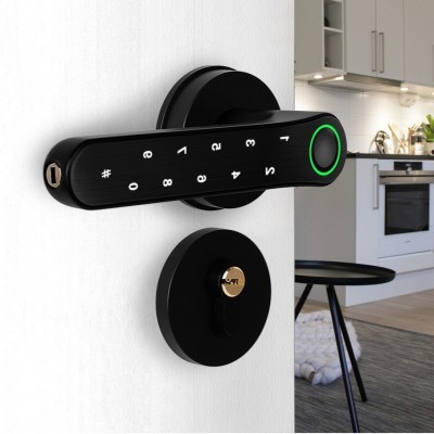 定制涂鸦通通锁室内指纹锁卧室办公室密码锁房间木门智能锁家用球图2