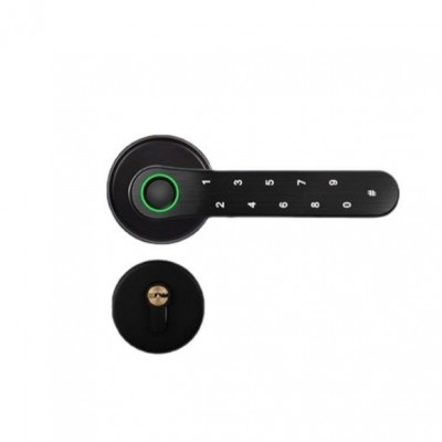 定制涂鸦通通锁室内指纹锁卧室办公室密码锁房间木门智能锁家用球图5