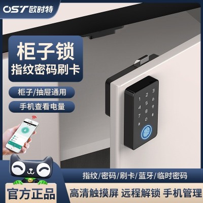 跨境指纹锁木门办公室家用鞋柜密码锁智能抽屉锁小型通通锁图4