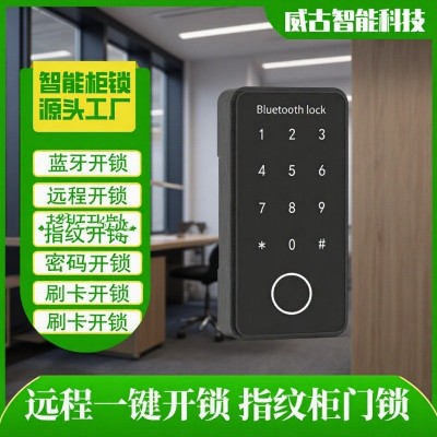 跨境指纹锁木门办公室家用鞋柜密码锁智能抽屉锁小型通通锁图2