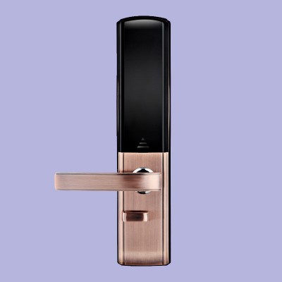 双开门滑盖指纹锁 家庭办公室密码锁 防盗门电子锁智能遥控磁卡锁图4