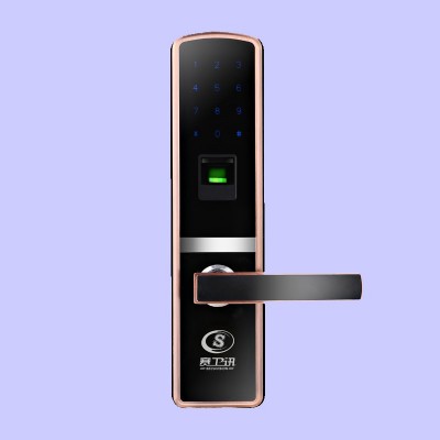 家用指纹防盗门锁 密码遥控刷卡锁 木门大门电子锁包安装厂家批发图2