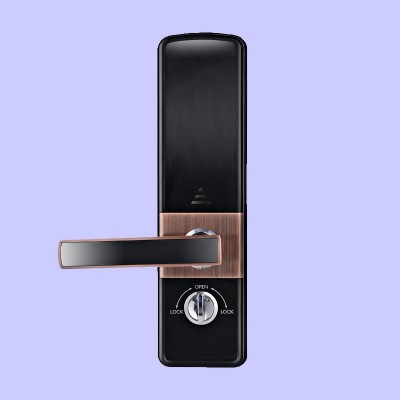 家用指纹防盗门锁 密码遥控刷卡锁 木门大门电子锁包安装厂家批发图4