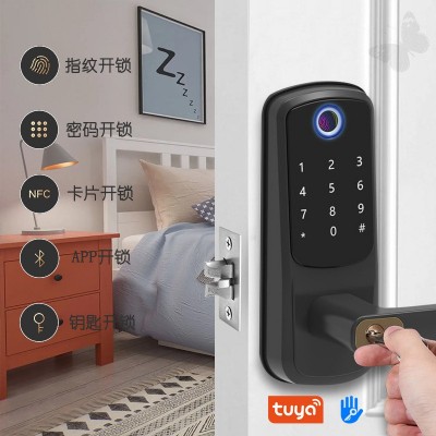 跨境卧室指纹锁通通锁IC卡锁涂鸦WiFi公寓出租密码锁手机远程控制图3