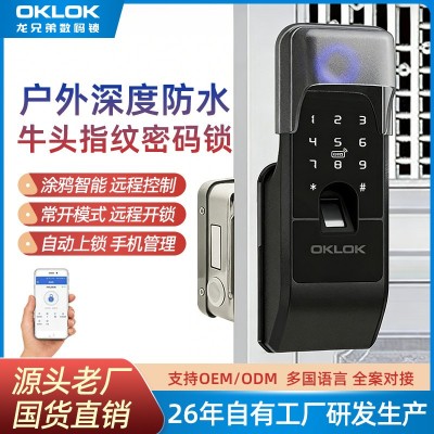 户外防水防盗门指纹锁老式铁门不锈钢门密码锁庭院门改牛头智能锁图2