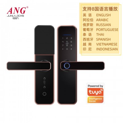 厂家批发跨境外贸X5密码锁指纹锁智能门锁木门公寓房间锁涂鸦通通图5