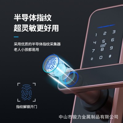 厂家批发跨境外贸X5密码锁指纹锁智能门锁木门公寓房间锁涂鸦通通图4