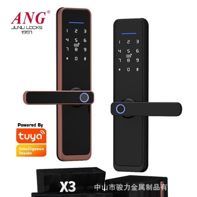 厂家批发跨境外贸X3涂鸦智能卧室房门锁指纹密码锁木门电子房间锁