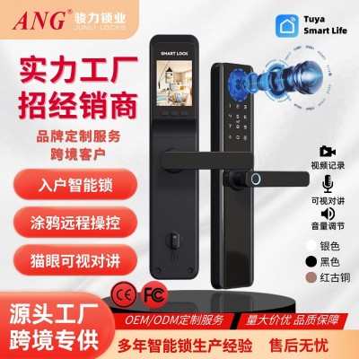 外贸多功能猫眼对讲密码指纹锁涂鸦智能金属防盗门智能门锁智能锁图3