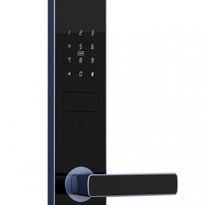 通通锁公寓指纹人脸识别密码IC卡酒店锁刷卡涂鸦民宿智能锁厂家图5