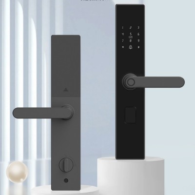 智能锁TTLOCK通通锁涂鸦APP蓝牙公寓锁指纹锁酒店民宿租房一握开图2